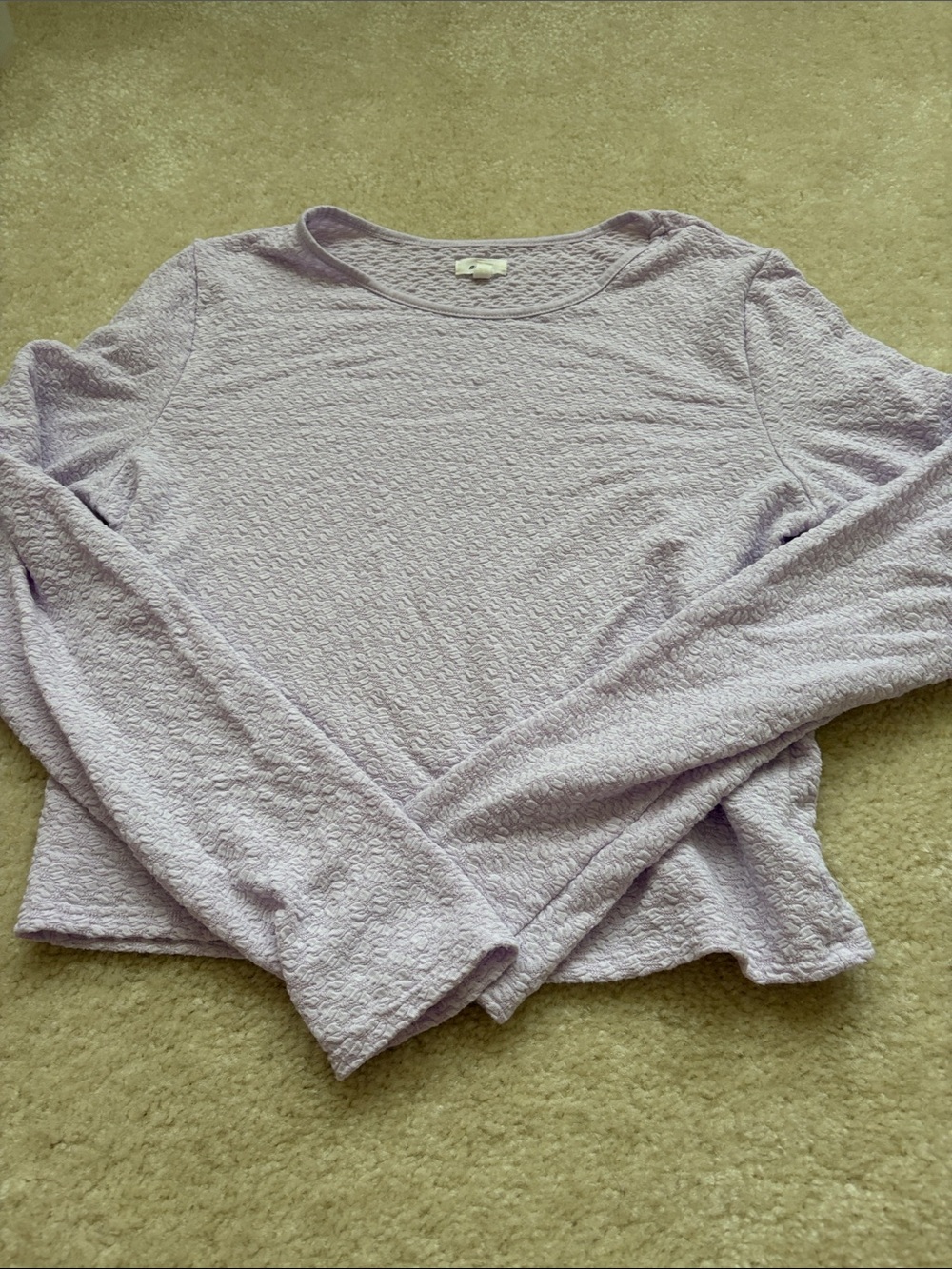 aerie Lilac Long-Sleeve Textured Top
